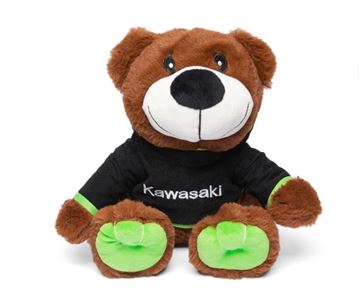 Picture of Kawasaki Teddy Bear