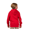 Picture of Fox Absolute Youth Pullover Hoodie