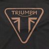 Picture of Triumph Intrepid Stripe Enduro Jersey